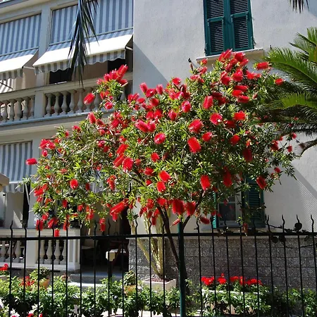 Guest house Il Sogno Di Jo A 50 Mt Dal Mare